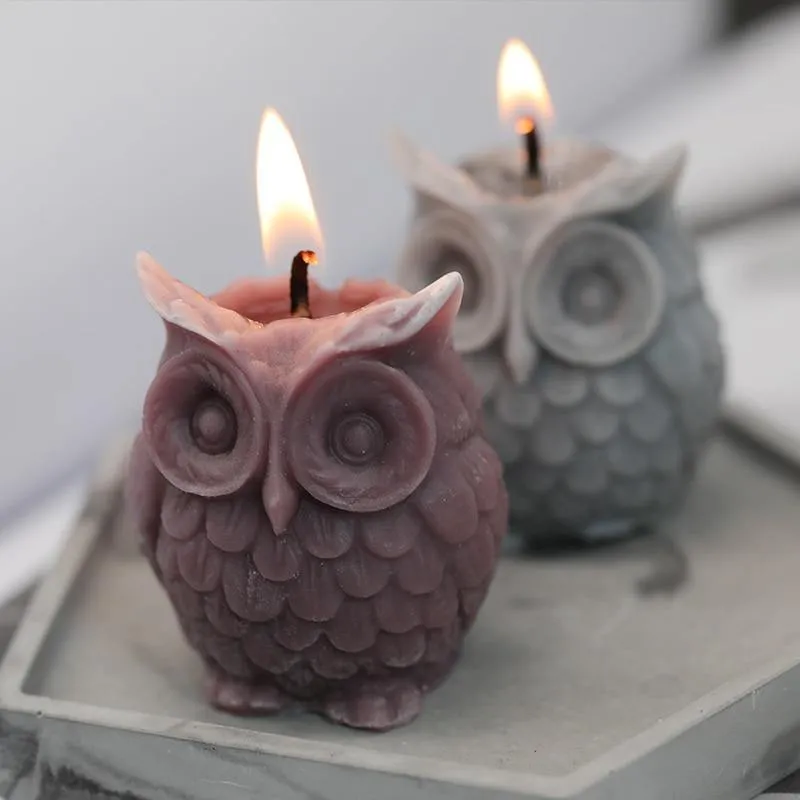 Cute Owl Mold