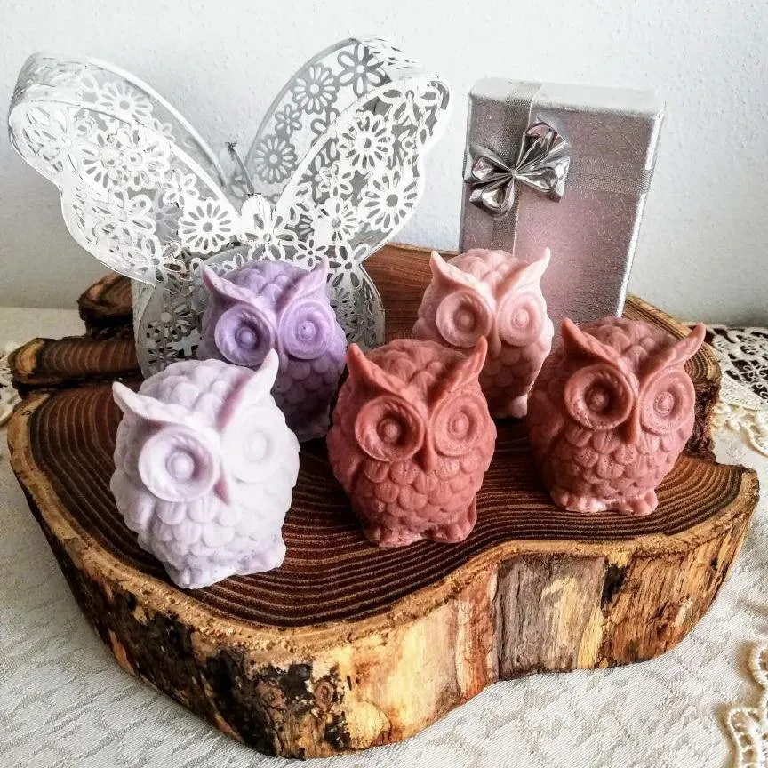 Cute Owl Mold