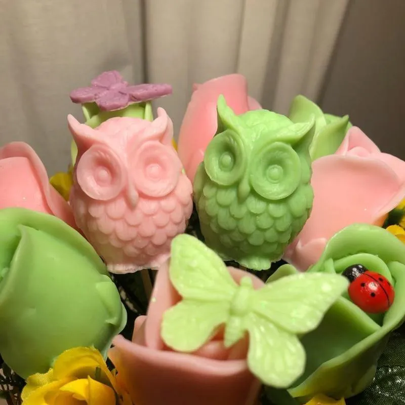 Cute Owl Mold